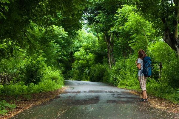 バックパック付きの女性ハイカーは道路に立って 熱帯の木の緑豊かな緑の葉を見ています — ストック写真