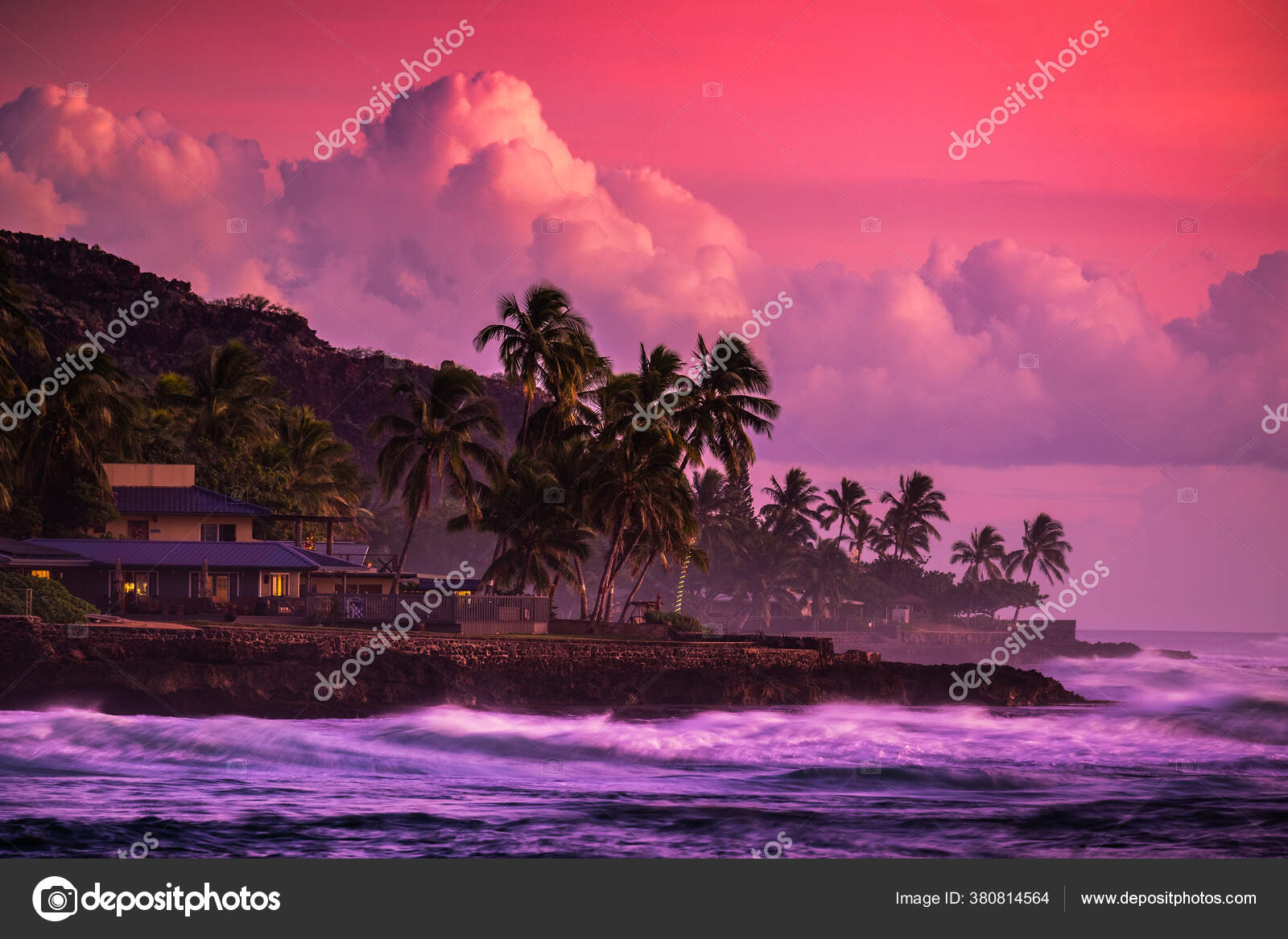 하와이 오하우 해안의 자주색 — 스톡 사진 © mihtiander #380814564, image size:1600x1167