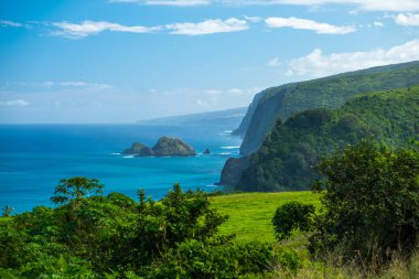Büyük adanın kuzey kıyısı, Pololu vadisine yakın bir bölge, Hawaii