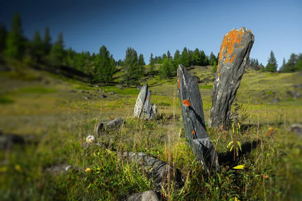 フィールド内の精神的な岩 ロシアのアルタイ — ストック写真