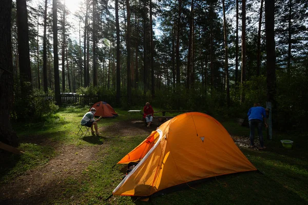 Randonneurs Détendre Dans Camp Situé Sur Prairie Dans Une Forêt — Photo