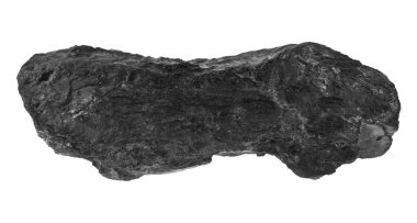 kömür beyaz arkaplanda izole edildi