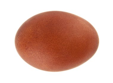 Beyaz bir arka plan üzerinde izole tavuk yumurtası