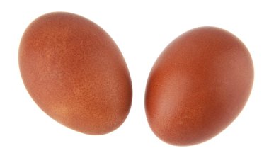 Beyaz bir arka plan üzerinde izole tavuk yumurtası