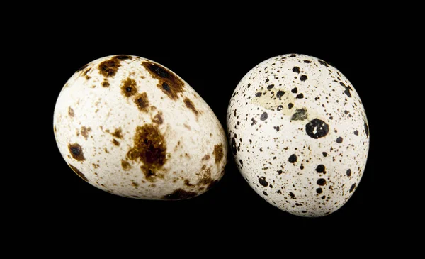 Quail Eggs Isolated Black Background — Stock Photo, Image