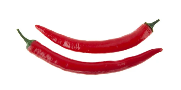 Horké Červené Papriky Izolovaných Bílém Pozadí — Stock fotografie