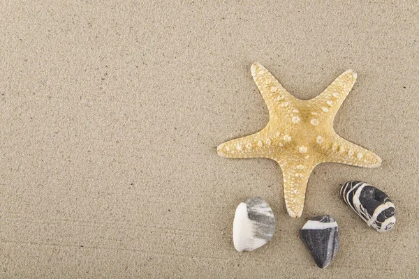 Морская Звезда Камни Песке Отдыха Заднем Плане — стоковое фото