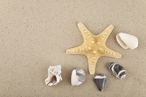 Conchiglie Pietre Sabbia Stelle Marine Relax Come Sfondo — Foto Stock