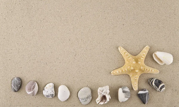 Морская Звезда Ракушки Камни Песке Отдыха Заднем Плане — стоковое фото
