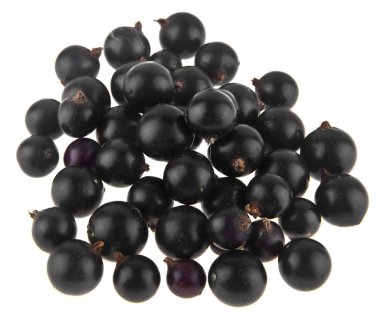 Beyaz arka plan üzerinde izole siyah, sulu kuş üzümü