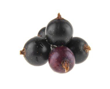 Beyaz arkaplanda siyah frenk üzümü izole edildi