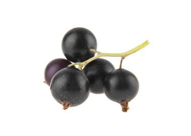 Beyaz arkaplanda siyah frenk üzümü izole edildi