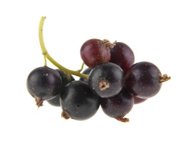 Beyaz arkaplanda siyah frenk üzümü izole edildi