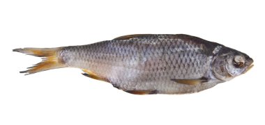 Kurutulmuş, kurutulmuş balık beyaz arka plan üzerinde izole