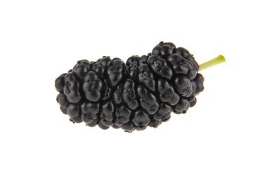 Dut beyaz arkaplanda izole edilmiş