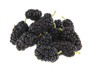 Dut beyaz arkaplanda izole edilmiş