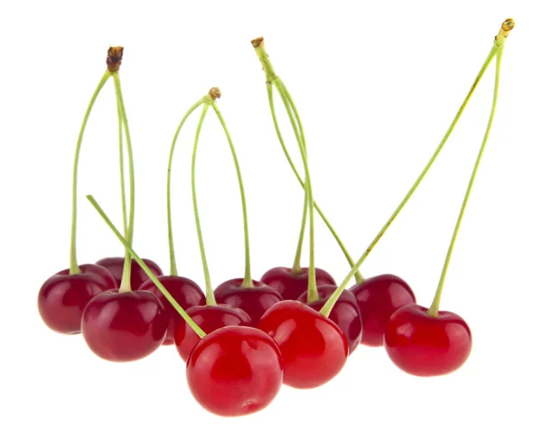 Cereza Roja Jugosa Aislada Sobre Fondo Blanco — Foto de Stock