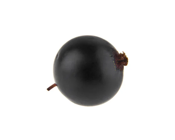 白い背景に分離された黒スグリの果実 — ストック写真