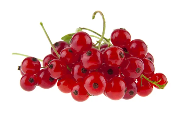Red Juicy Currants Isolated White Background — Stock Photo, Image
