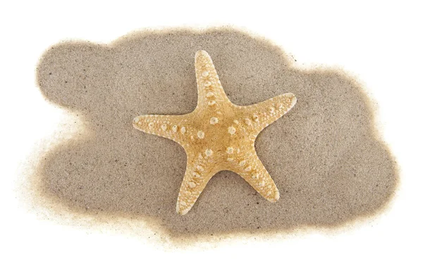 Sand Starfish Isolated White Background — Stock Photo, Image