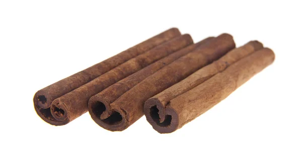 Stick Cinnamon Spices Isolated White Background — Stock Photo, Image