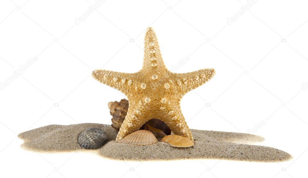 sand and starfish isolated on white background