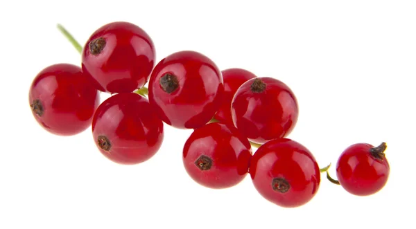 Red Juicy Fresh Currant Isolated White Background — Stok Foto