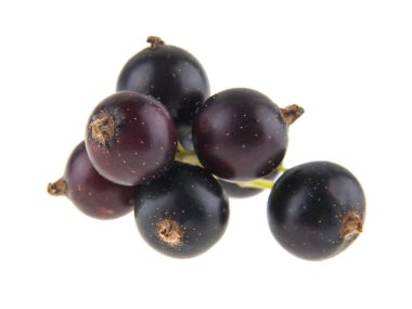 Beyaz arka plan üzerinde izole taze, sulu siyah frenk üzümü