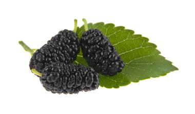 Dut beyaz arkaplanda izole edilmiş