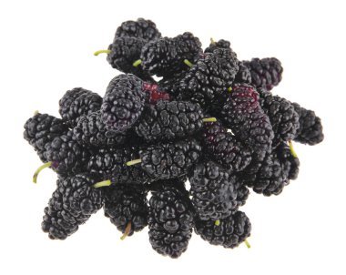 Dut beyaz arkaplanda izole edilmiş