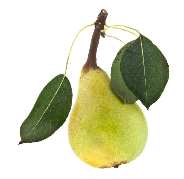 Pear Isolated White Background — Stock Photo, Image