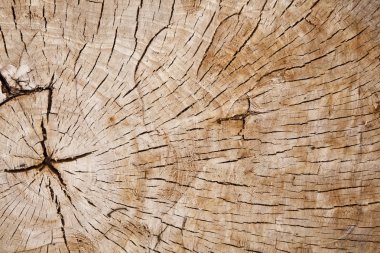 Ambalaj tasarımı bir öğesi olarak ağaç kesme