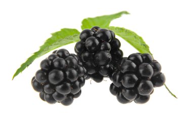 Blackberry beyaz arkaplanda izole edildi