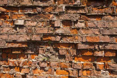 arka plan olarak kırmızı tuğla duvar dokusu. Ambalaj tasarımı bir unsuru olarak.