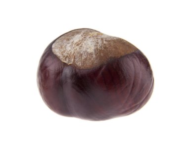 Beyaz arka plan üzerinde izole kestane. Ambalaj tasarımı bir unsuru olarak.