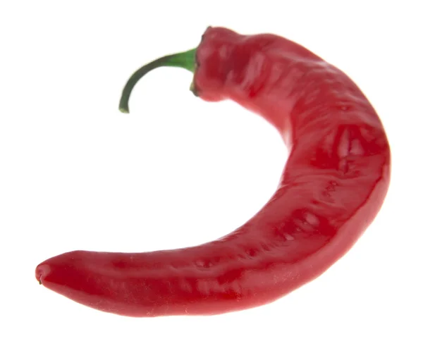 Red Hot Chili Pepper Izolovaných Bílém Pozadí Jako Součást Designu — Stock fotografie