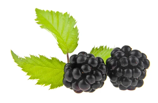 Berries Blackberries Isolated White Background — Stock Photo, Image