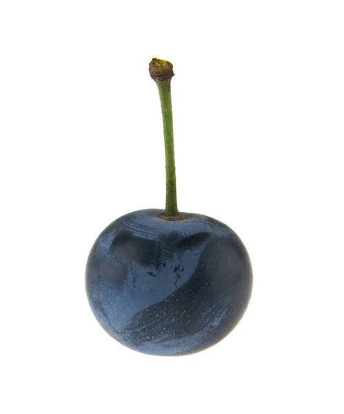Blaue Beeren Färben Sich Isoliert Auf Weißem Hintergrund Als Element — Stockfoto