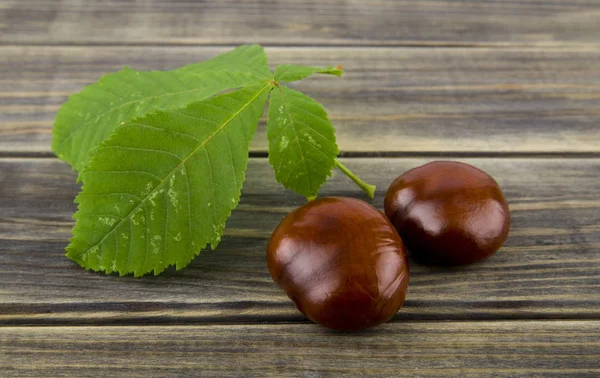 Castanhas Uma Mesa Madeira — Fotografia de Stock