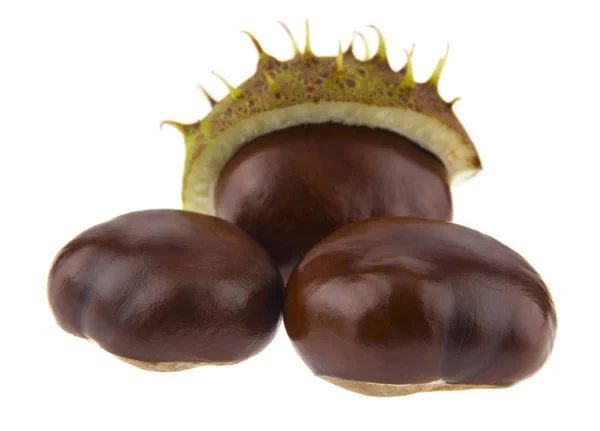 Castagne Isolate Sfondo Bianco — Foto Stock