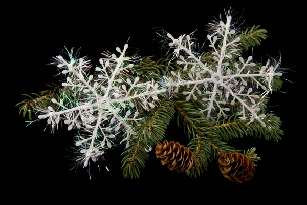 Гілка Дерева Шишками Білими Сніжинками Чорному Тлі — стокове фото