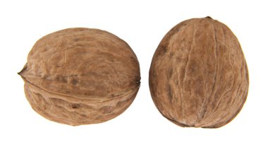 Beyaz arkaplanda izole edilmiş cevizler