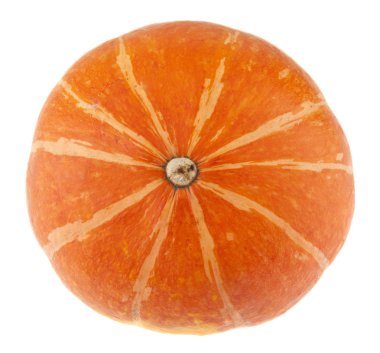 Beyaz arkaplanda kabak izole