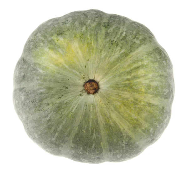 Zucca Isolata Sfondo Bianco — Foto Stock