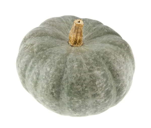 Zucca Isolata Sfondo Bianco — Foto Stock