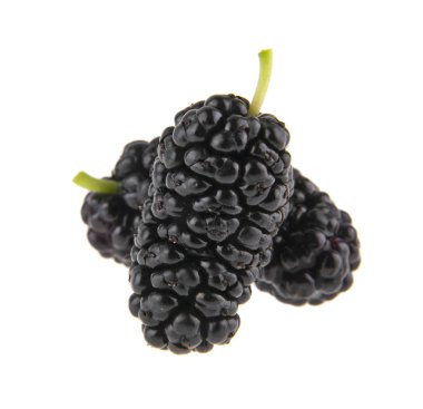 Dut beyaz arkaplanda izole edilmiş