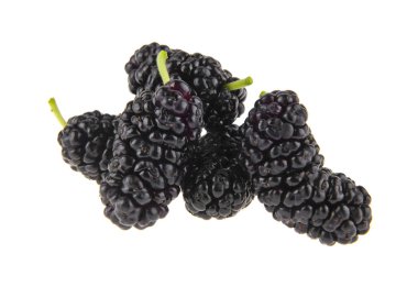 Dut beyaz arkaplanda izole edilmiş