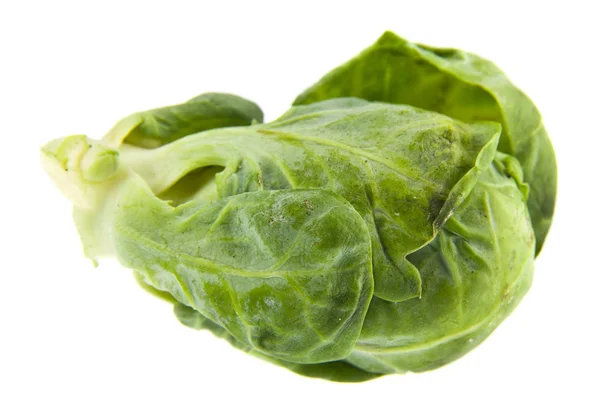 Brussels Sprouts Isolated White Background — Stock Photo, Image