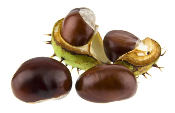 Chestnuts Isolated White Background — Stock Photo, Image