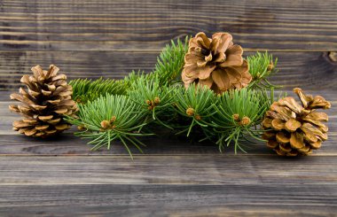 koniler ve ahşap arka plan üzerinde bir Noel ağacının dalını